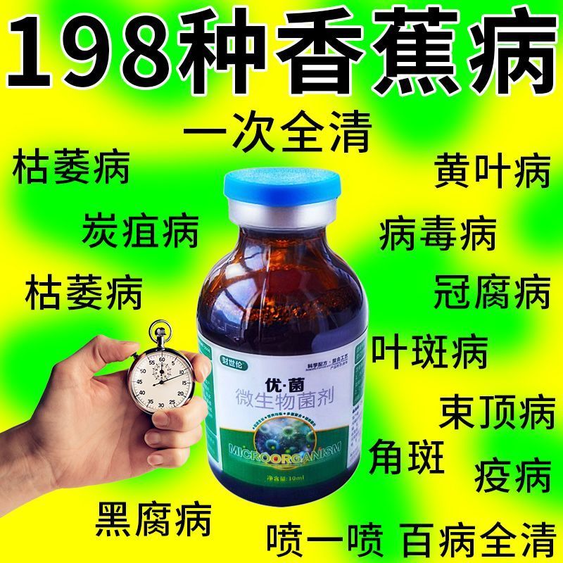 香蕉黄叶烂心病药钻虫斑黑