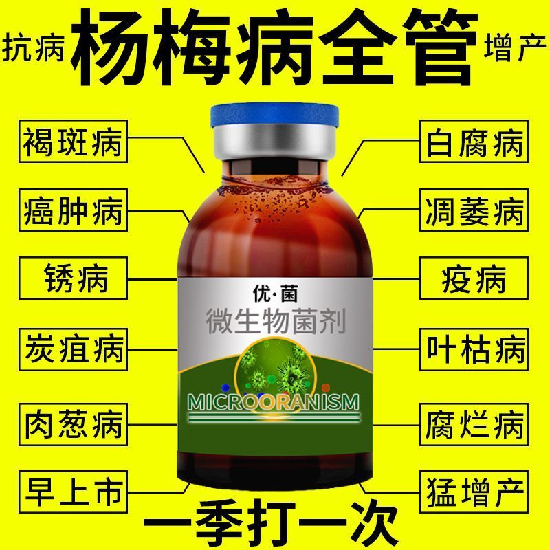 杨梅专用药黄叶病凋萎枯枝