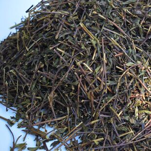 茶梗1斤装2024新茶潮汕土山茶黄旦八仙茶惠来高山茶乌龙茶浓香型