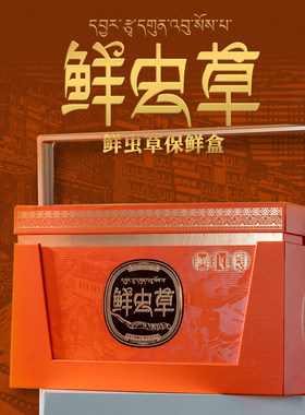 新款鲜虫草礼盒大容量保温盒