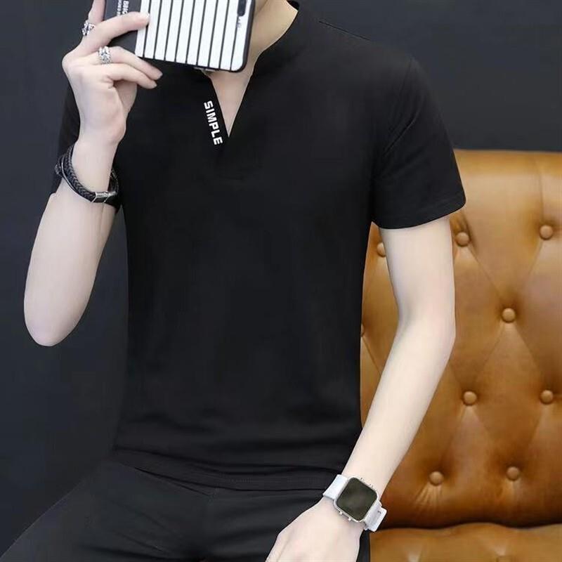 蓝及轻奢高端短袖t恤夏季新款高档V领休闲男装半袖打底衫时尚百搭