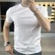 体恤品质男装 师凯服饰春季 轻奢半袖 t恤男修身 丝光棉抗皱纯色短袖