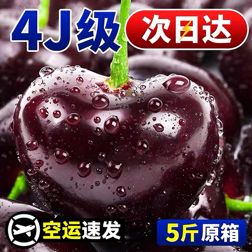 智利进口5J桑提娜车厘子樱桃新鲜水果大果应当季顺丰包邮礼盒发货