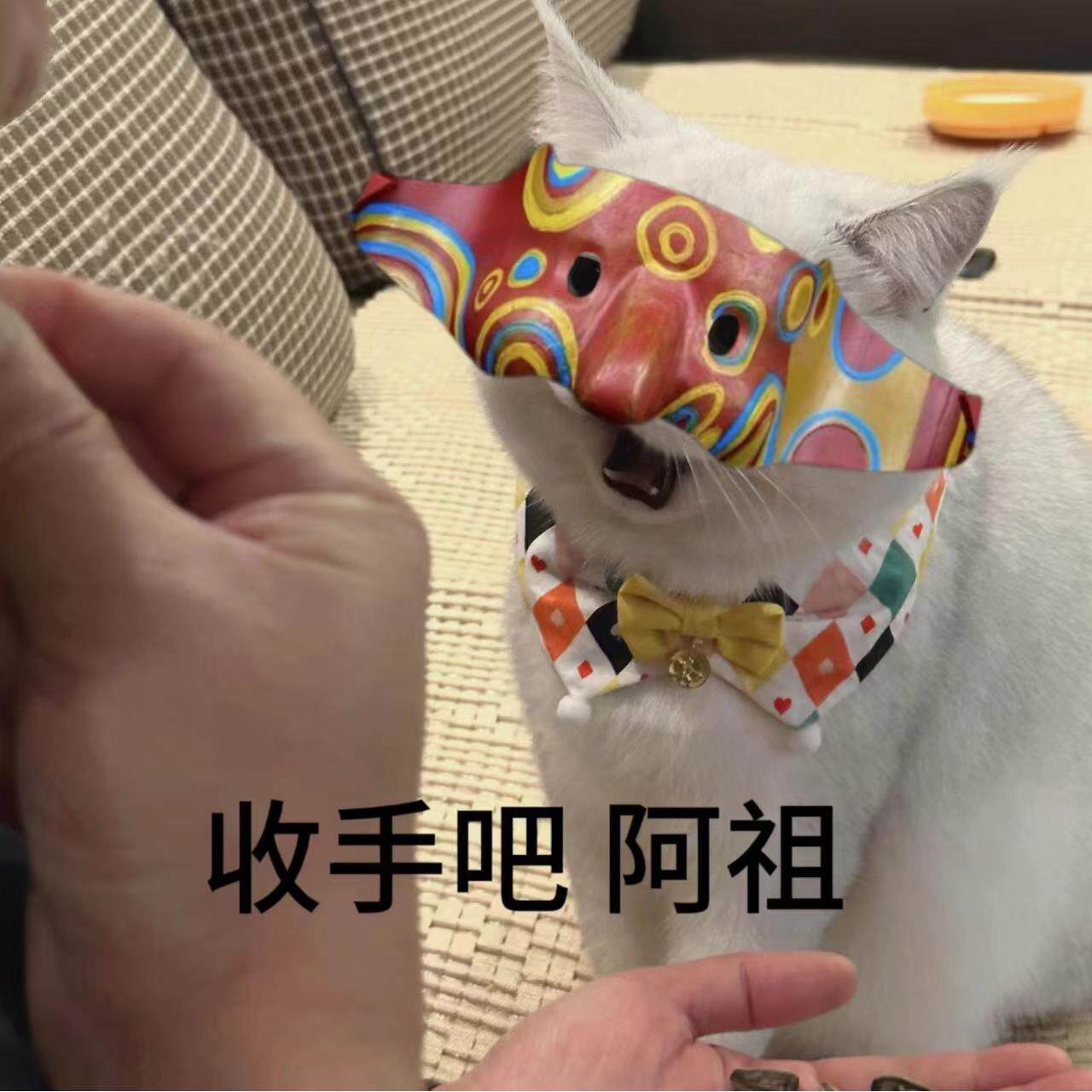 吴彦祖面具宠物猫咪面具帅气阿祖半脸面罩cos宠物拍摄道具生日装