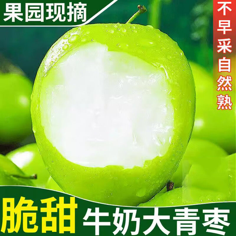 正宗贵妃枣牛奶青枣香爽酥脆甜牛奶枣大青枣大果新鲜水果冬枣大果