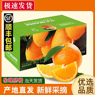 秭归伦晚脐橙新鲜橙子10斤现摘甜橙孕妇水果整箱薄皮手剥冰糖脐橙