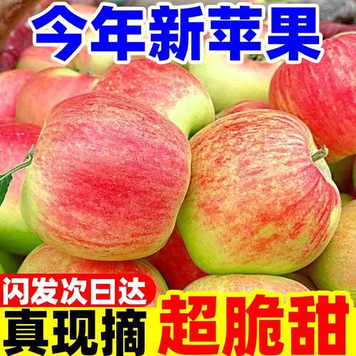 正宗陕西嘎啦苹果新鲜脆甜苹果应季孕妇水果粉甜富士冰糖心嘎啦果