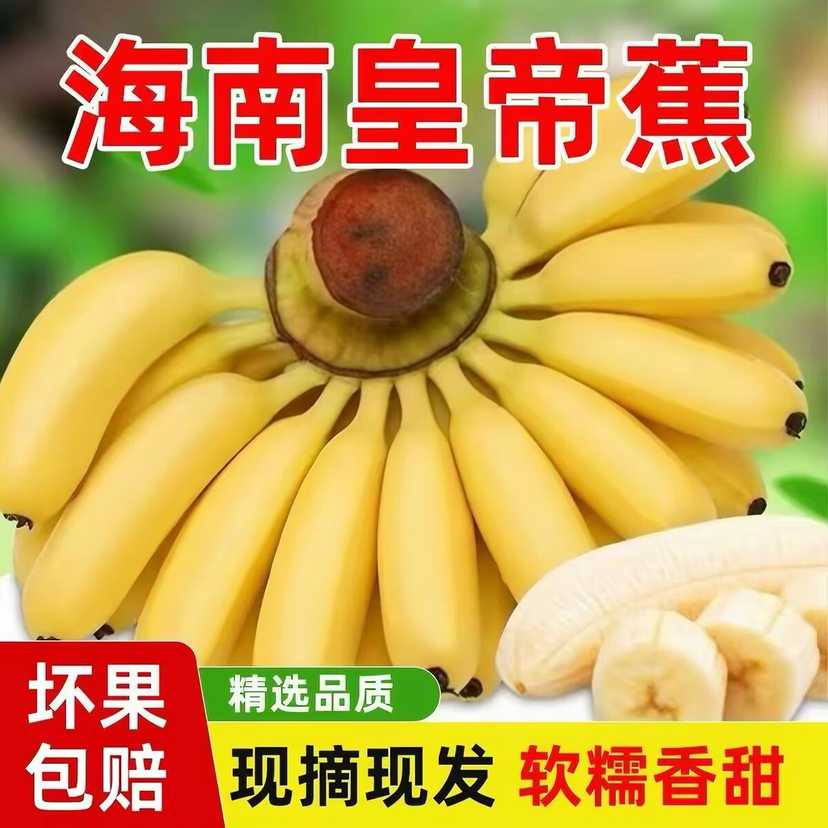 正宗皇帝蕉新鲜软糯帝皇蕉牛奶香蕉芭蕉小蕉海南宝宝水果现摘香焦