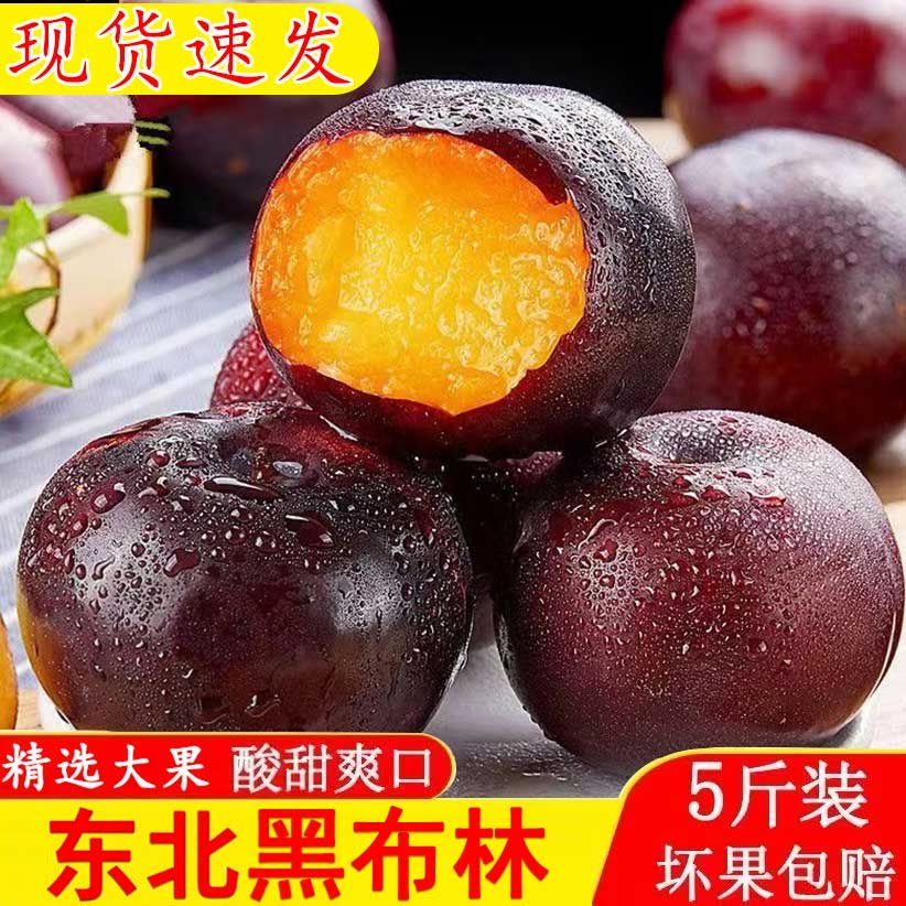 东北黑布林李子当季新鲜现摘酸甜孕妇水果整箱大果正宗黑皮李子