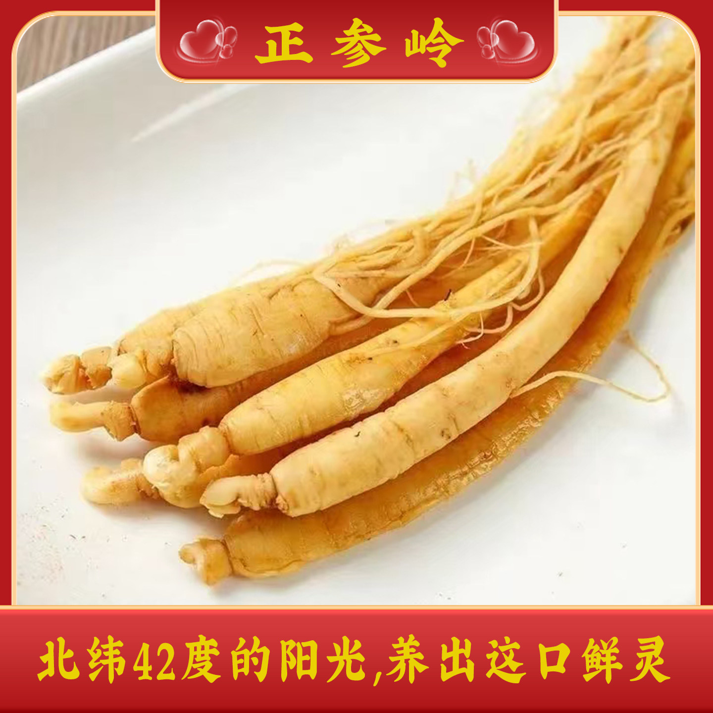 长白山人参新鲜人参泡酒参保鲜参酒瓶参火锅参饮料小人参