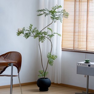 速发森装间绿植装物蓝花楹植饰室内客厅角落风格软空陈设摆件