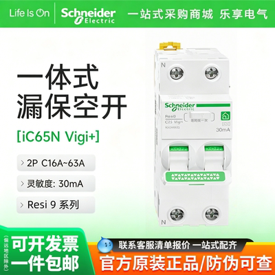 施耐德R9一体式漏电保护器2P
