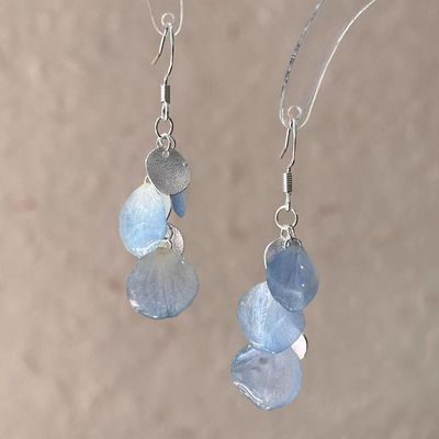 【听雨】冷淡风极简渐变蓝色干花贝壳耳钩氛围感百搭设计款耳环女