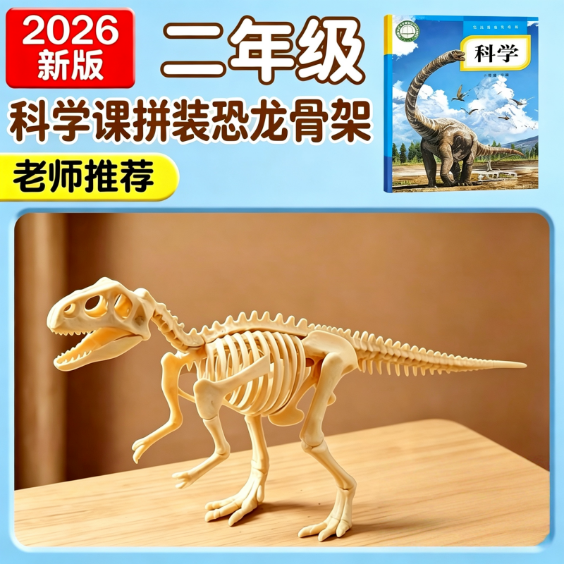 老师推荐科学课拼装恐龙骨架