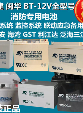 赛特BT-12M24AT蓄电池12V17/38AH消防主机北大青鸟海湾松江泰和安