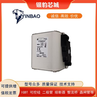 170M6543 170M6544 170M6545 170M6546 170M6547全新熔断器保险丝