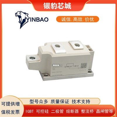 SKKH250/16E SKKH250/18E SKKH253/08E SKKH253/12E全新可控硅