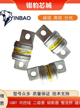 250GH-450UL 250GHW500 250GHW630 250GHW710快速熔断器现货
