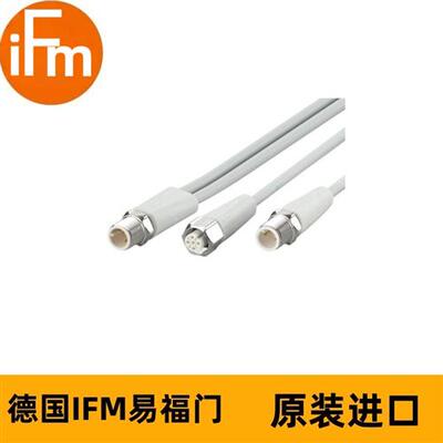 连接电缆EVF694 YDSGHDA0VAS0002PDASTGH030VAS