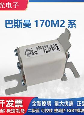 熔断器170M2613/2614/2615/2616/2617/2618/2619/2620/2621