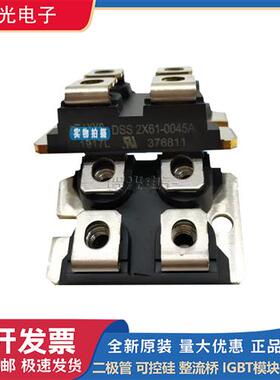 DSS2X61-01A DSS2X61-0045A DSS2X41-01A全新肖特基功率二极管