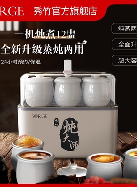 SORGE/秀竹 ZDJ-80A大容量炖大师全自动蒸汤炖盅汤锅商用机炖汤机