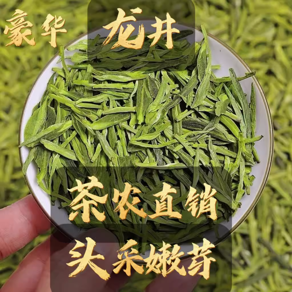 西湖区直发杭州浓香雨前龙井茶43特产特级绿茶消炎茶叶春茶新散装