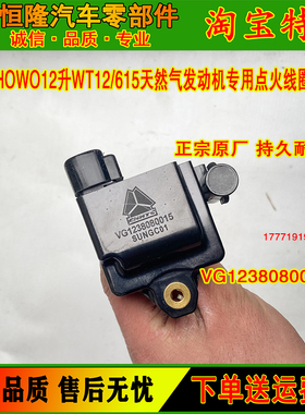 重汽豪沃12L天然气WT12/615发动机380马力点火线圈VG1238080015