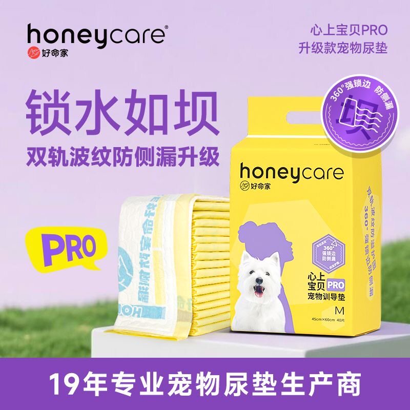 金吉瑞kingjerry柯基狗