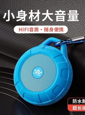 ROYQUEEN/朗琴 T350蓝牙小音箱迷你低音炮大运动便携式跑步插卡音