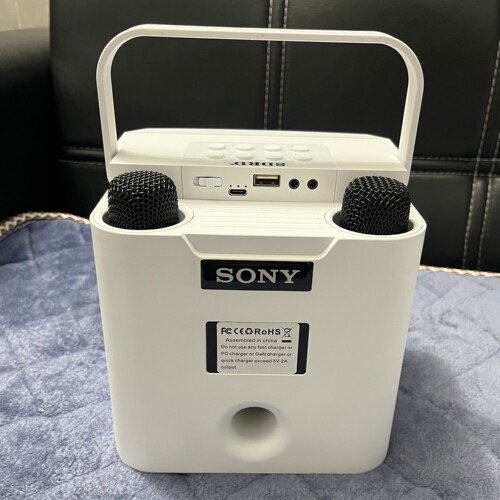 山水蓝牙音响一体麦克风家庭全民