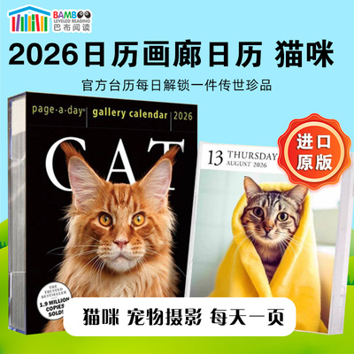 2026年画廊日历猫咪宠物摄影