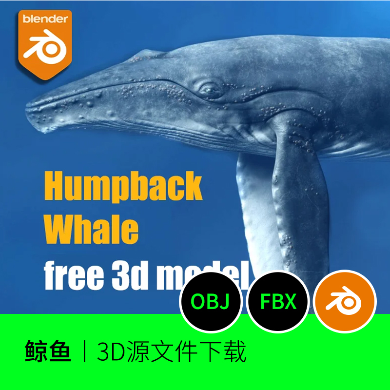 鲸鱼海洋生物哺乳动物3D三维模型建模素材文件blender下载155