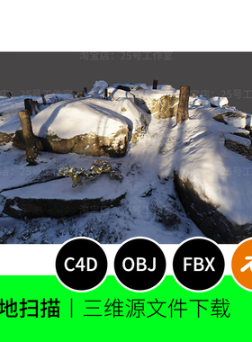 雪地烘焙扫描场景冬天树桩3D模型blender建模C4D素材三维1376