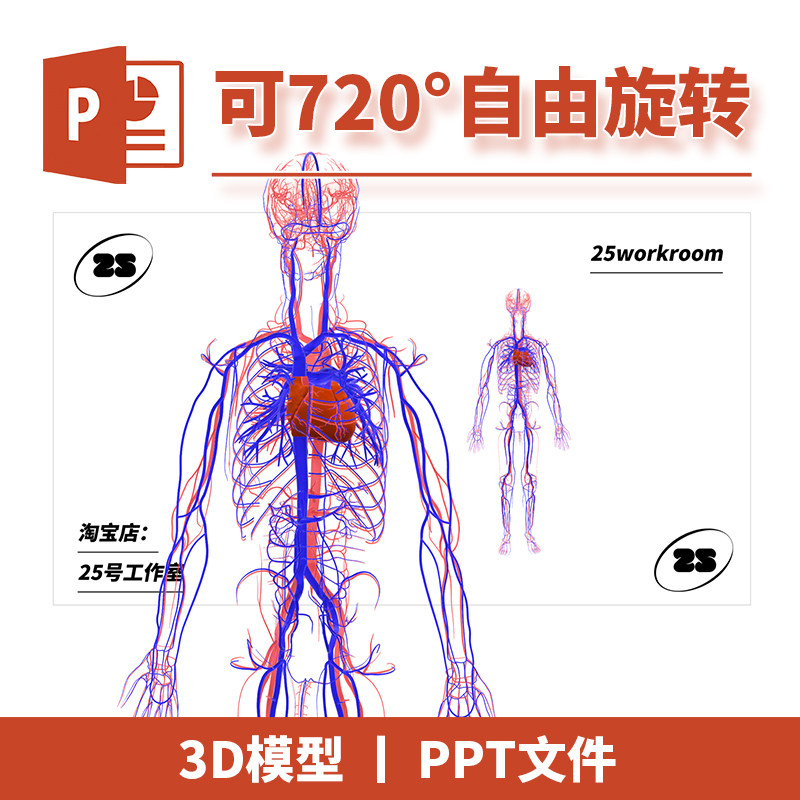 PPT文档生物全身人体血管动脉静脉医学解剖3D模型模板初中教学5
