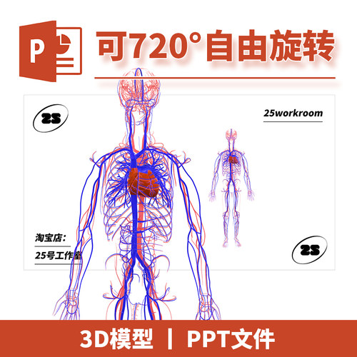 PPT文档生物全身人体血管动脉静脉医学解剖3D模型模板初中教学5