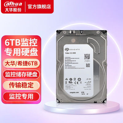 大华dahua希捷监控硬盘录像机存储监控专用硬盘1TB2TB4TB6TB8TBSA