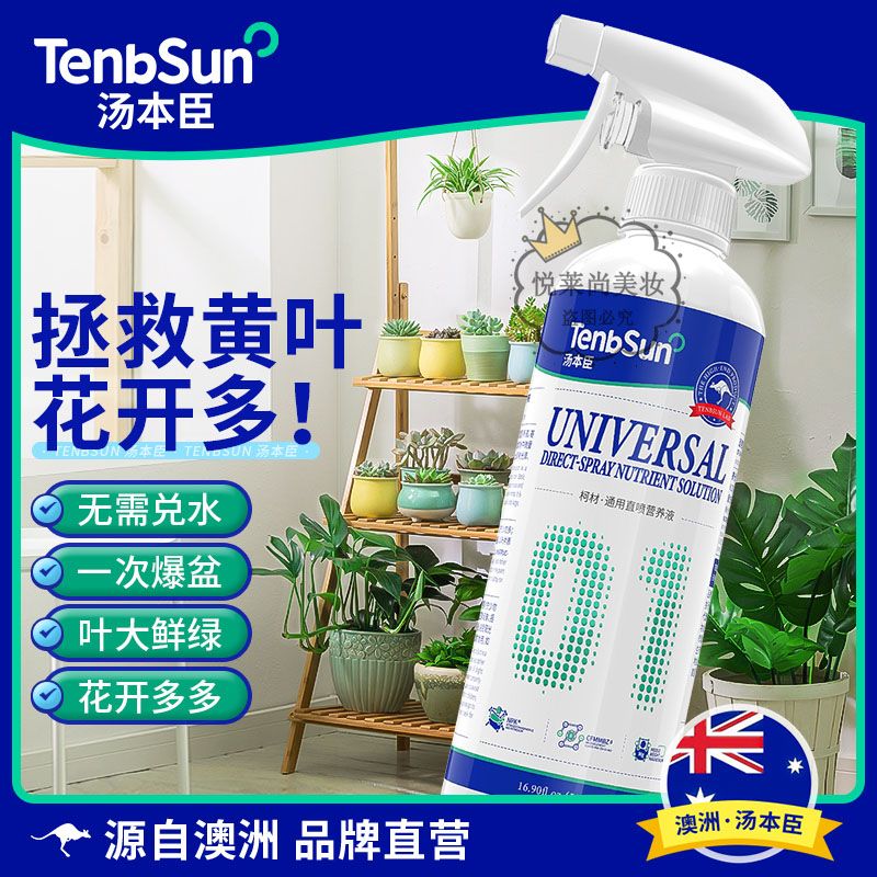汤本臣柯材营养液肥料发财树富贵竹花卉绿植黄叶家用盆栽植物通用