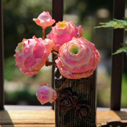 阳台庭院室内非常容易潘多拉玫瑰