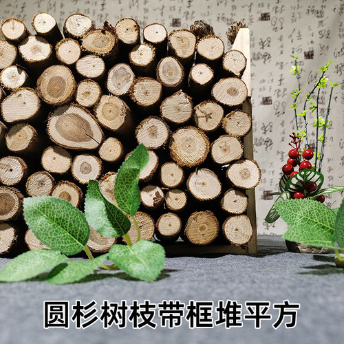 圆杉树枝带框堆平方露营造景柴火