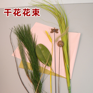 松针松枝干花真植物伴手礼装饰diy 材料点缀圣诞树装饰松拍摄道具