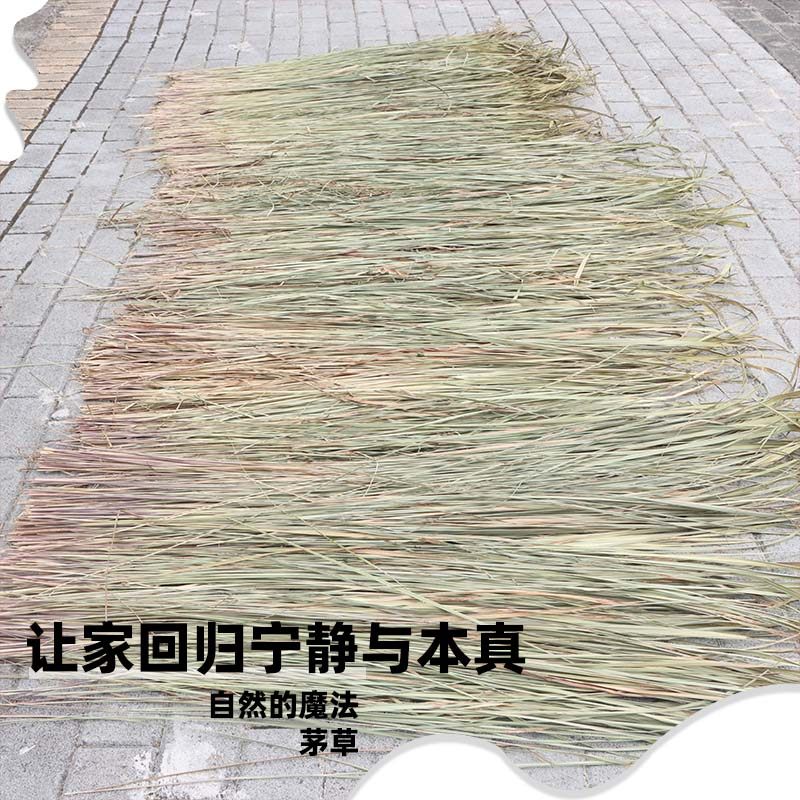 大深山茅针丝茅草茅发货黄茅叶茅草白茅叶白茅草茅草叶编制织雨棚,基础建材,仿真茅草,淘宝优惠券,粉丝福利购,淘宝优惠卷