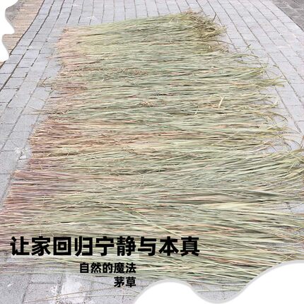 大深山茅针丝茅草茅发货黄茅叶茅草白茅叶白茅草茅草叶编制织雨棚
