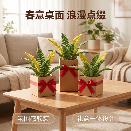 卷芽呐春搭配红丝带盒置物架陈列