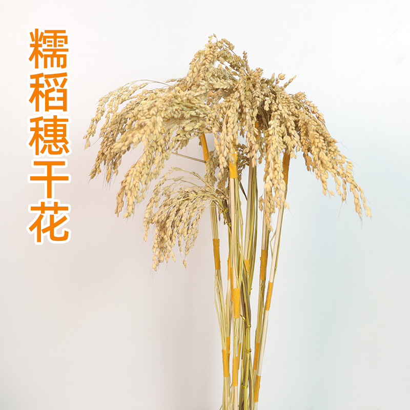 糯稻穗花束干花装饰摆件带杆签