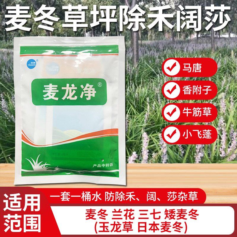 麦冬玉龙除杂草细叶金边通用型