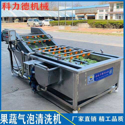 盱眙龙虾清洗机 小龙虾气泡清洗机 厂家生产高压喷淋气泡清洗机