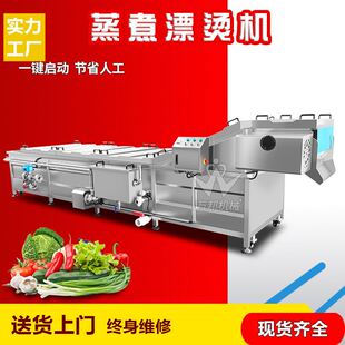 现货萋萋菜漂烫机 食品厂荠菜漂烫机 商用大型蒸煮杀青流水线