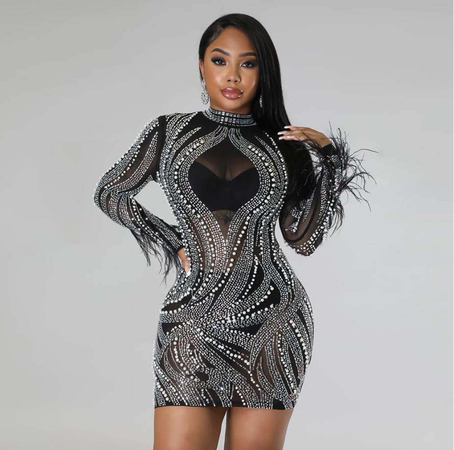 Mesh Hot Drill Dress 欧美立领网纱透视烫钻羽毛长袖包臀连衣裙