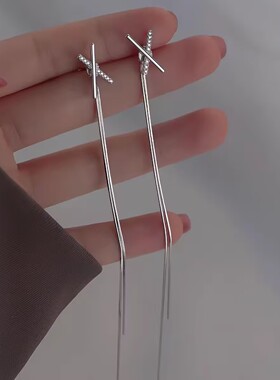 S925银针显脸瘦流苏耳环耳线女气质批长款耳饰高级感小众韩国耳坠